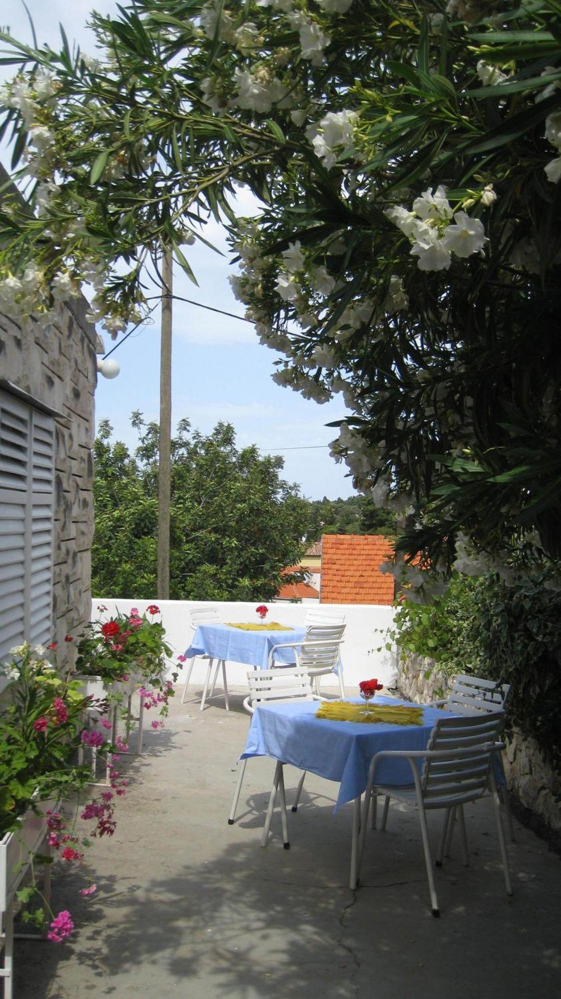 Barko And Hvar Town